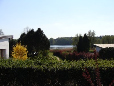 Blick von der Terrasse auf den See.